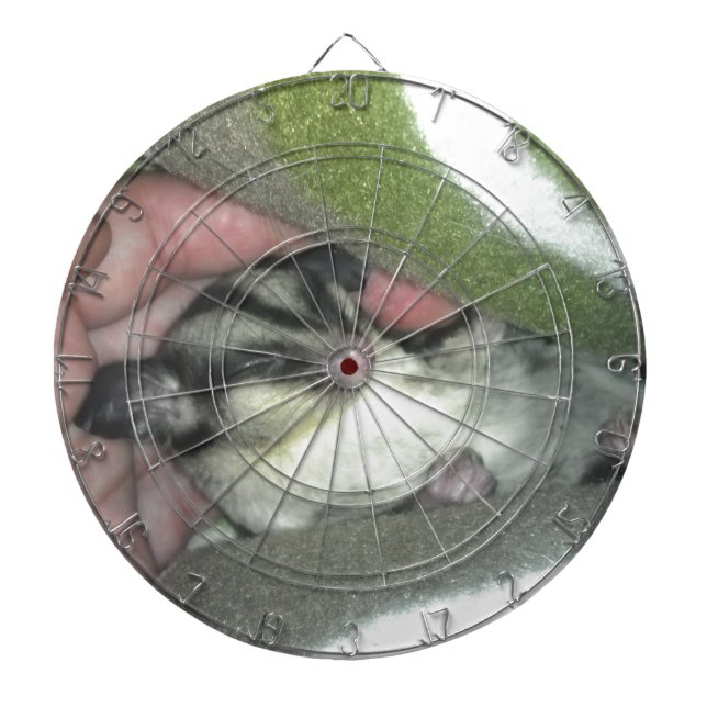 Sugar Glider Sleeping in Blanket Dartboard With Darts (Front)