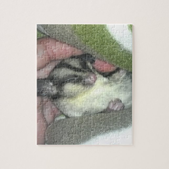 Sugar Glider Sleeping in Blanket Jigsaw Puzzle (Vertical)