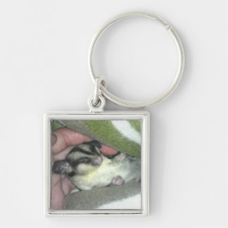 Sugar Glider Sleeping in Blanket Keychain