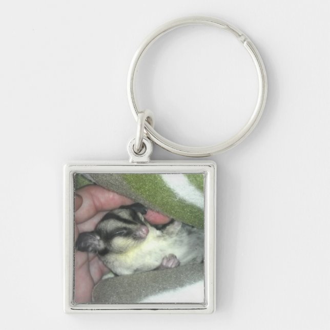 Sugar Glider Sleeping in Blanket Keychain (Front)