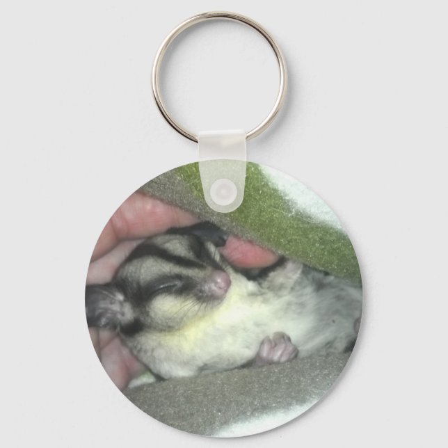 Sugar Glider Sleeping in Blanket Keychain (Front)