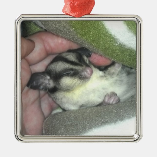 Sugar Glider Sleeping in Blanket Metal Ornament (Front)