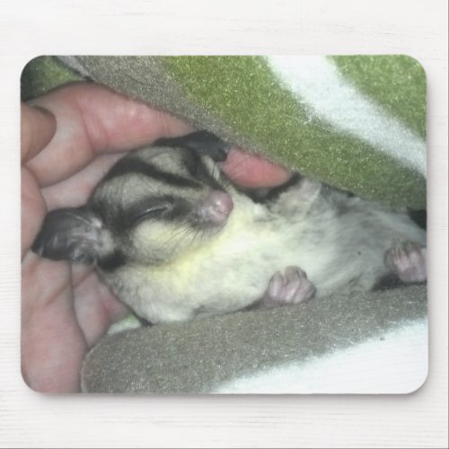 Sugar Glider Sleeping in Blanket Mouse Pad