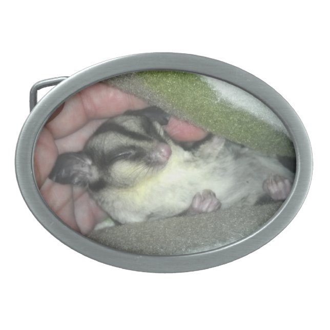 Sugar Glider Sleeping in Blanket Oval Belt Buckle (Front)