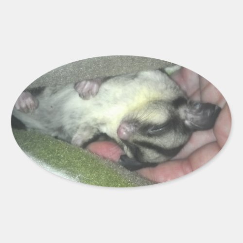 Sugar Glider Sleeping in Blanket Oval Sticker