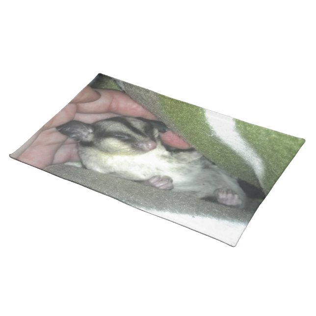 Sugar Glider Sleeping in Blanket Placemat (On Table)