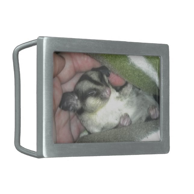 Sugar Glider Sleeping in Blanket Rectangular Belt Buckle (Front Left)