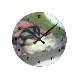 Sugar Glider Sleeping in Blanket Round Clocks