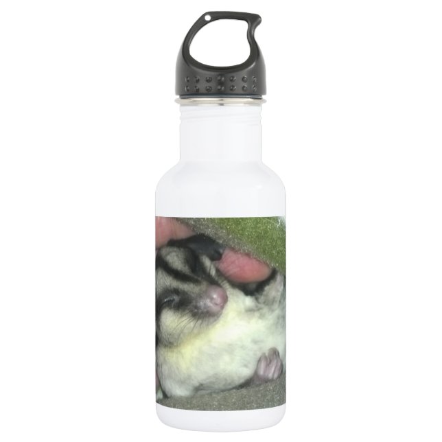 Sugar Glider Sleeping in Blanket Water Bottle (Front)