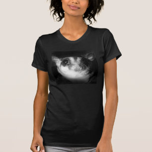 Sugar Glider Soft & Sweet T-shirt