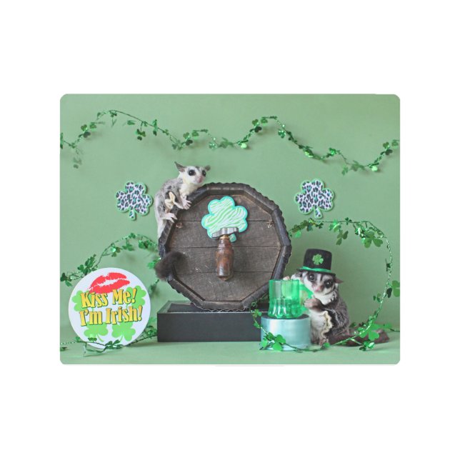 Sugar Glider St. Patrick's Day Metal Print (Front)