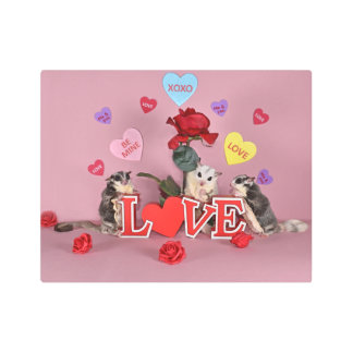 Sugar Glider Valentine Metal Print