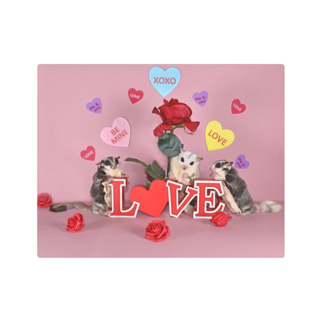 Sugar Glider Valentine Metal Print (Front)