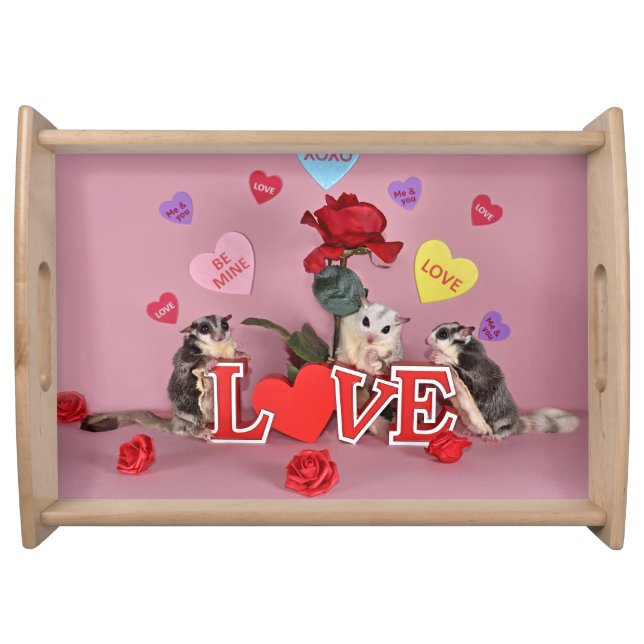 Sugar Glider Valentine Serving Tray (Front)