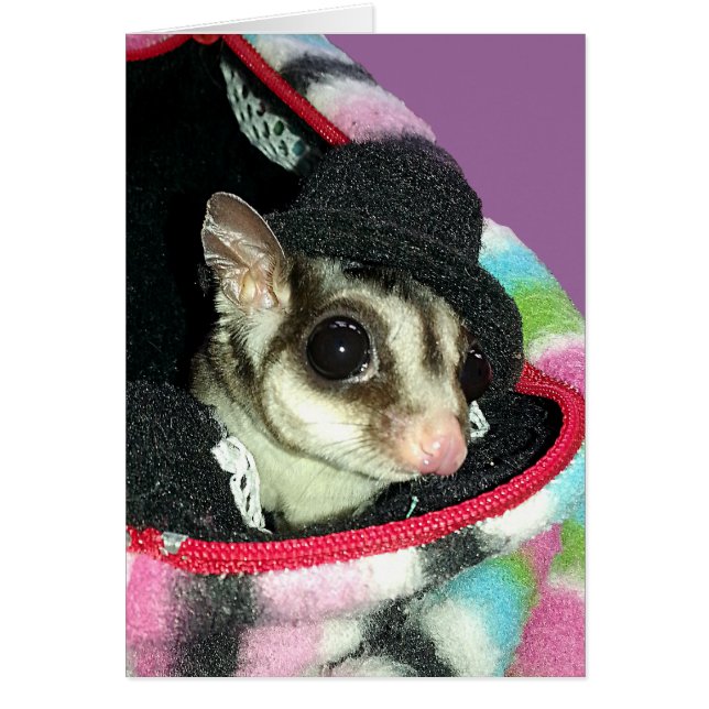 Sugar Glider Wearing a Hat Birthday Card (Front)