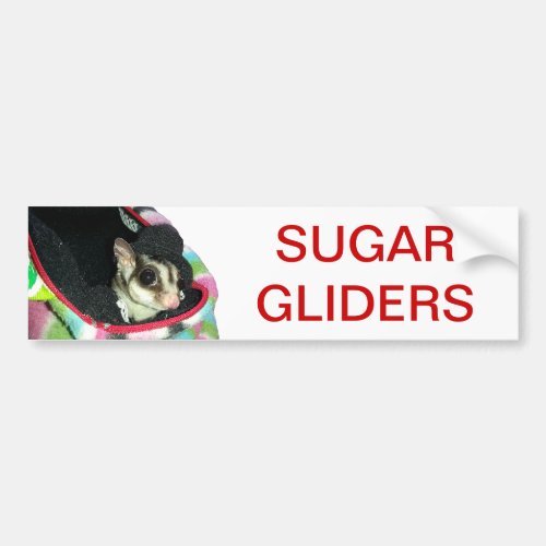 Sugar Glider Wearing a Hat Bumper Sticker
