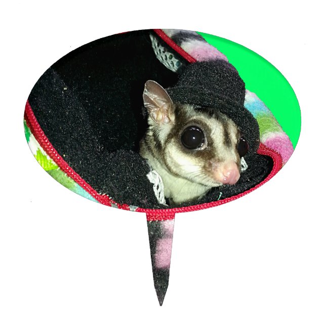 Sugar Glider Wearing a Hat Cake Topper (Front)