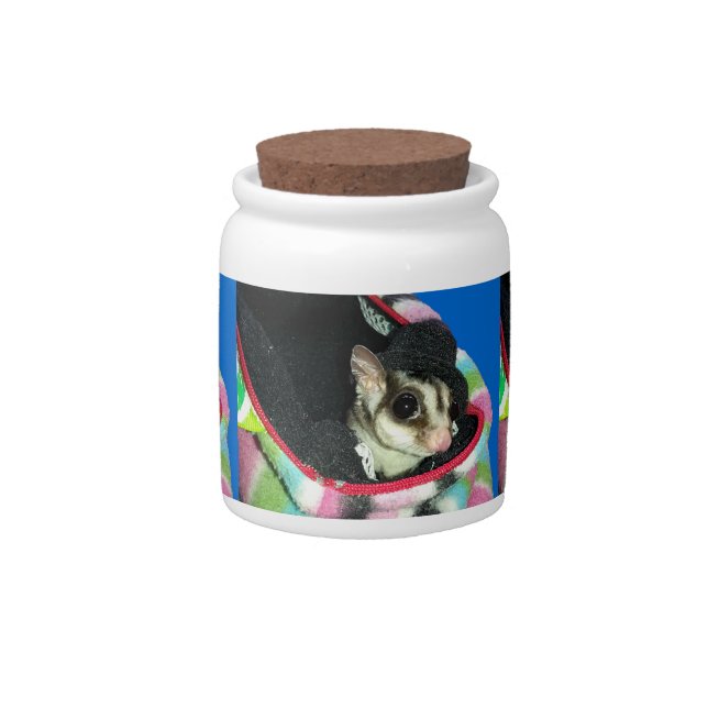 Sugar Glider Wearing a Hat Candy Jar (Front)