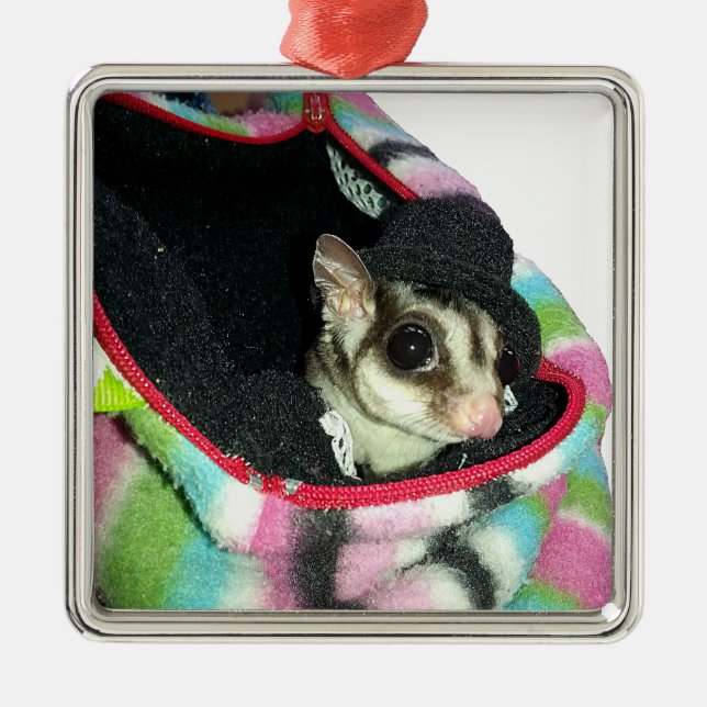 Sugar Glider Wearing a Hat Metal Ornament (Front)