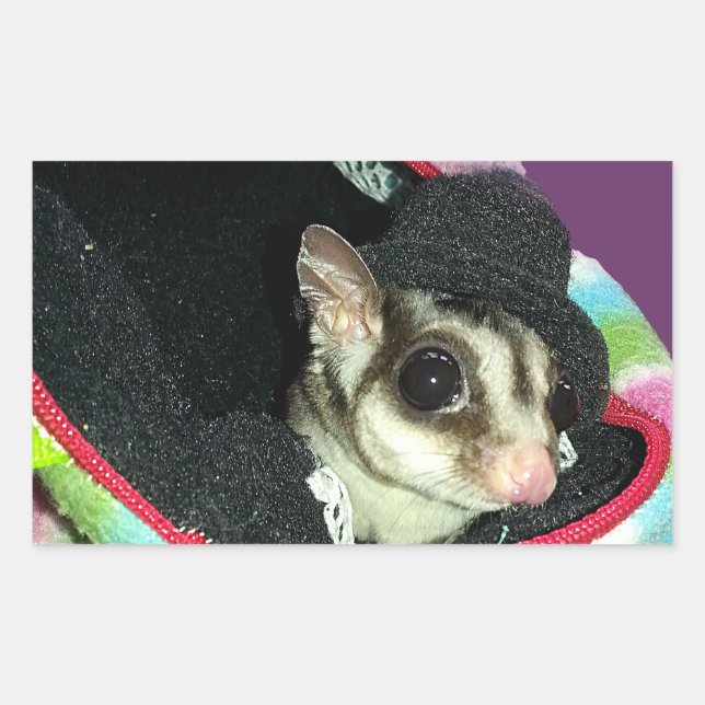 Sugar Glider Wearing a Hat Rectangular Sticker (Front)