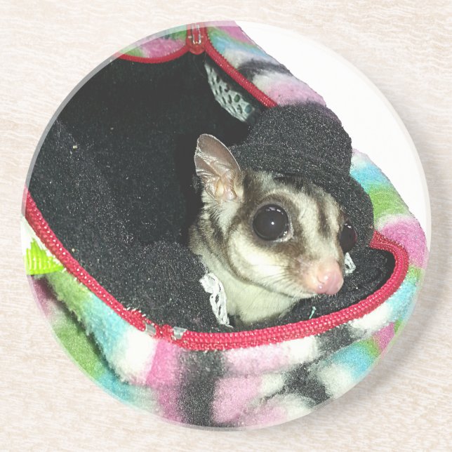 Sugar Glider Wearing a Hat Sandstone Coaster (Front)