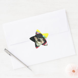 Sugar Glider Wearing a Hat Star Sticker