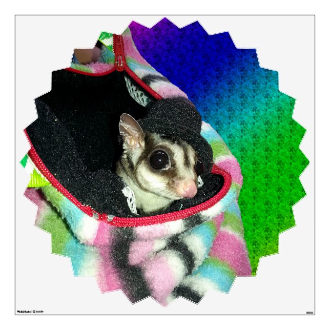 Sugar Glider Wearing a Hat Wall Sticker (Front)