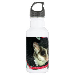 Sugar Glider Wearing a Hat Water Bottle