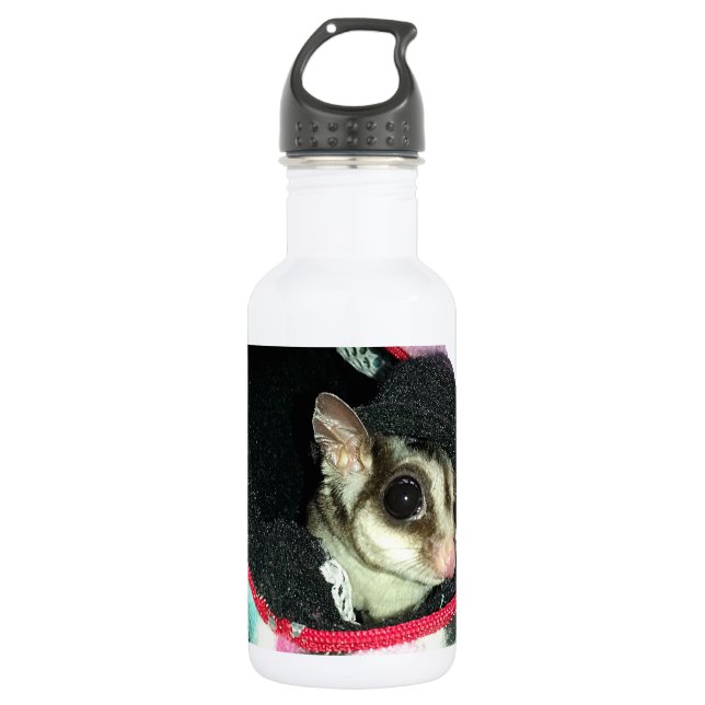 Sugar Glider Wearing a Hat Water Bottle (Front)