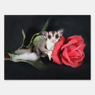 Sugar Glider with Rose Sign
