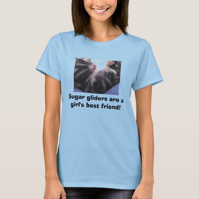 Sugar gliders are a gi... T-Shirt (Front)