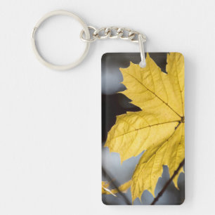Sugar maple, fall keychain