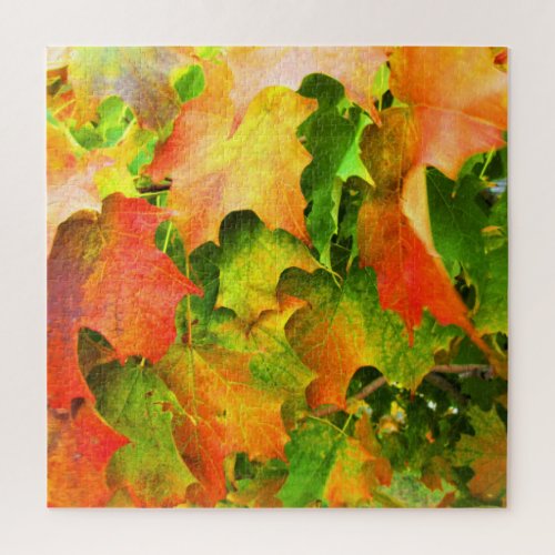 Sugar Maple Leaves Autumn Splendor Jigsaw Puzzle