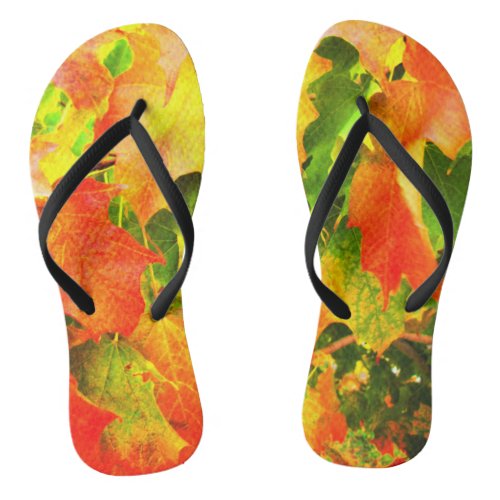 Sugar Maple Leaves Changing Color in Autumn Canada Flip Flops