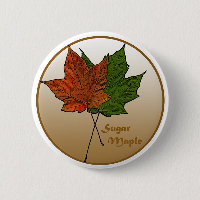 Sugar Maple Tree Button (Front)