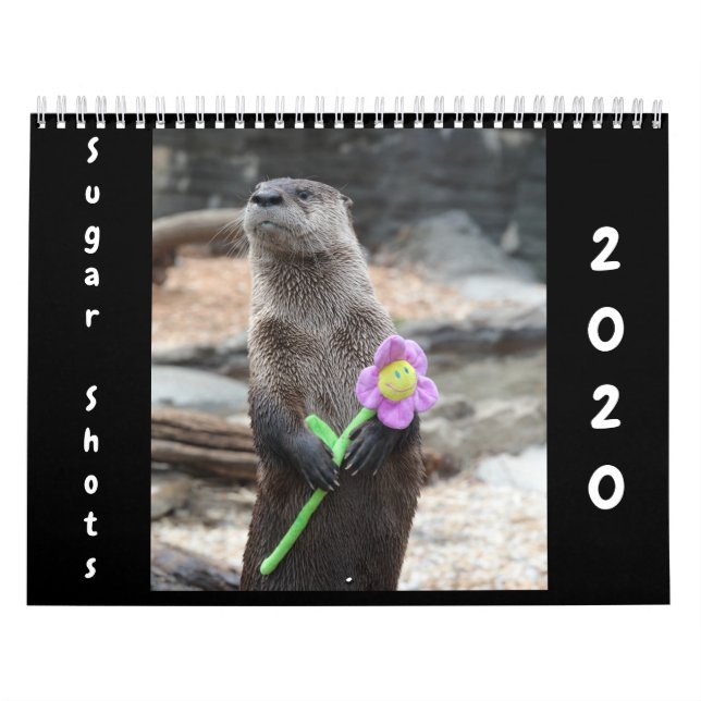 Sugar Shots 2020 Calendar (Cover)