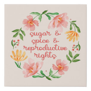 Sugar & Spice & Reproductive Rights III Faux Canvas Print