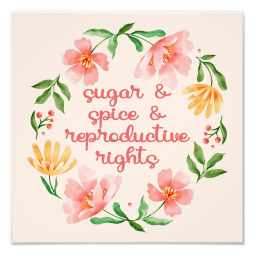 Sugar  Spice  Reproductive Rights III Photo Print