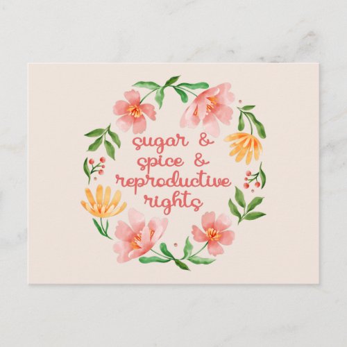Sugar  Spice  Reproductive Rights III Postcard