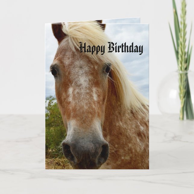Sugar The Appaloosa Horse Birthday Card (Front)