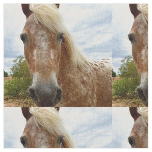 Sugar The Appaloosa Horse, Fabric