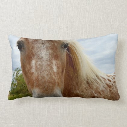 Sugar The Appaloosa Horse, Lumbar Cushion. Lumbar Pillow