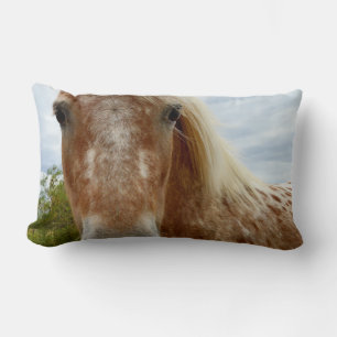 Sugar The Appaloosa Horse, Lumbar Cushion. Pillow