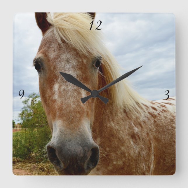 Sugar The Appaloosa Horse, Square Wall Clock. Clock (Front)