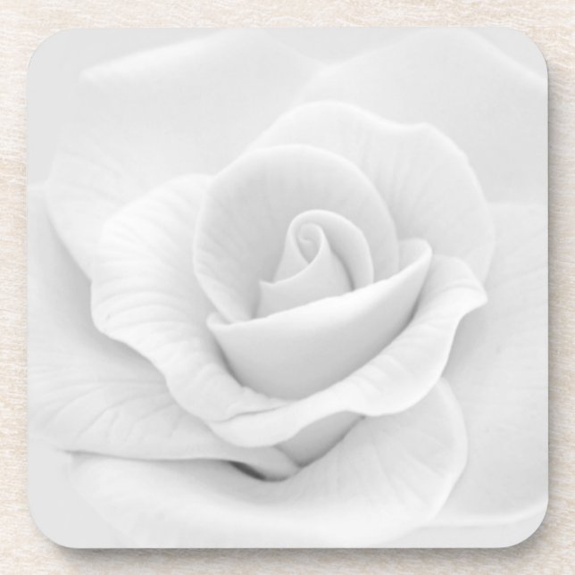 Sugar White Rose Beverage Coaster (Front)