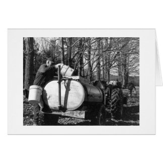 Sugaring Vermont Cards