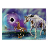 Sugars eclipse Suprise (Front Horizontal)