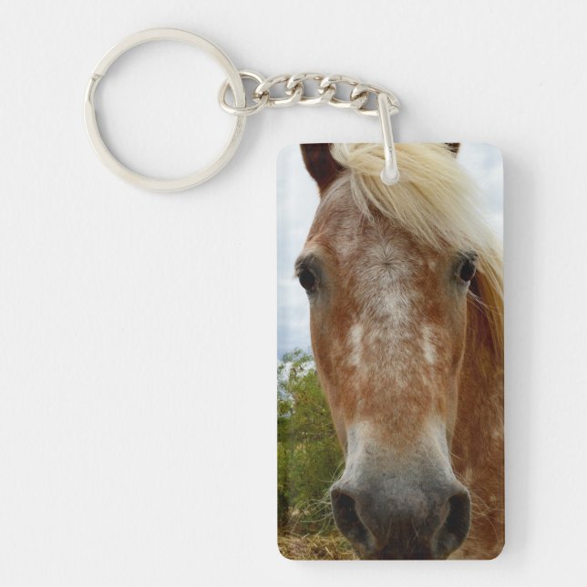 "Sugar's Stride: The Appaloosa's Grace" Keychain (Front)