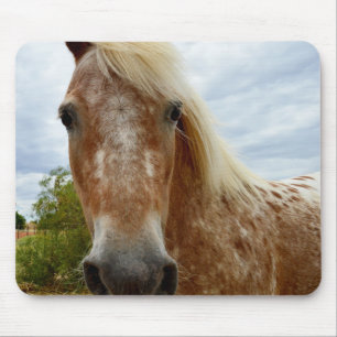 "Sugar's Stride: The Appaloosa's Grace" Mouse Pad