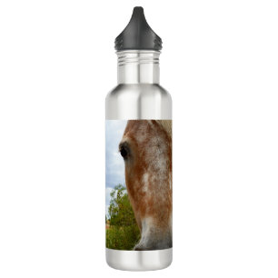 "Sugar's Stride: The Appaloosa's Grace" Stainless Steel Water Bottle